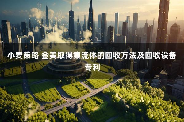 小麦策略 金美取得集流体的回收方法及回收设备专利