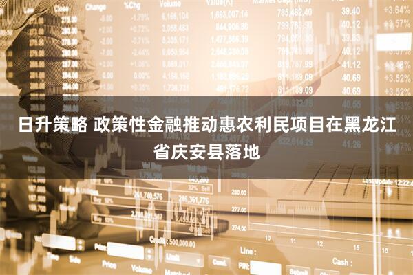 日升策略 政策性金融推动惠农利民项目在黑龙江省庆安县落地