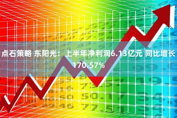 点石策略 东阳光：上半年净利润6.13亿元 同比增长170.57%